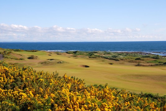 Kingsbarns:  Environment